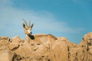 Top of the view Metzoke Dragot - 1