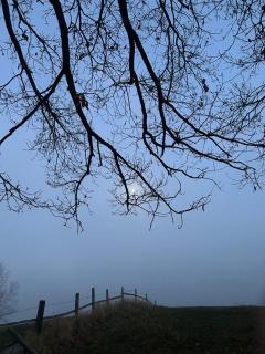 Ferienwohnung Holzer - 9