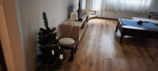 Apartment Detelina Residence - 9