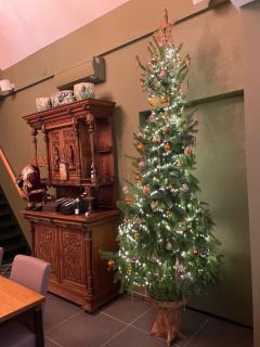 Apollonia - Aalter - 0