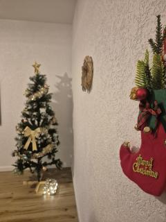 # LE 16 # Très bel Appartement 3 chambres rénové - 4