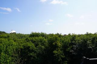 villa Flore, studio's - 7