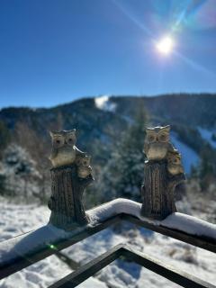 Le Chalet des 4 Chouettes - La Celle-sous-Gouzon - 9