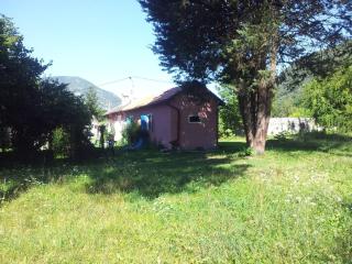 Your pink house with blue shutters - 1