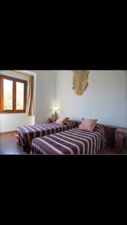 Apparemment calme avec jardin - 2