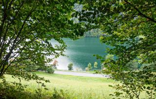 3 Bedroom Pet Friendly Home In Afritz Am See - 5