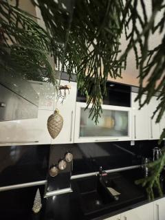 Луксозен апартамент в сърцето на Сандански - 1