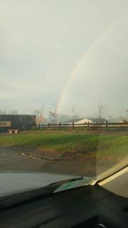 Cabaña moderna y equipada en parcela en Valdivia - 1