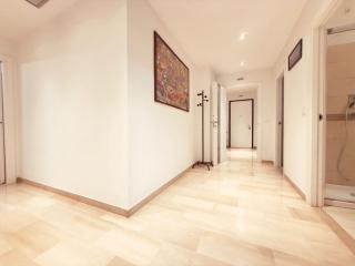 Leone Di San Marco - 1