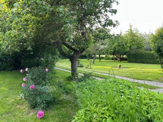 Kembser Cottage - Ostholstein - NEU! - 5