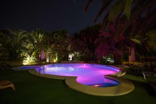 Apartamentos El Palmeral de Madaria - 5