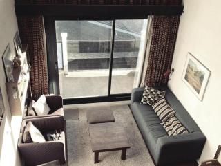 Appartement T3 Sud, skis aux pieds, animaux admis - FR-1-574-74 - 8