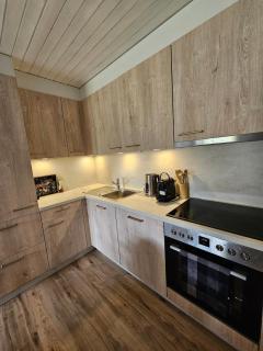 Ski in Ski out Portes du Soleil Champoussin - 1