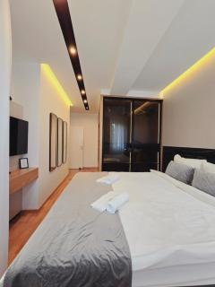 Harmony Apartmani Arandjelovac - 1