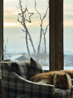 Modern Family Cabin Near Kikut In Geilo - 1