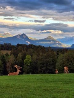 Holzfass Entspannung pur mit schönstem Bergblick 3 - 4