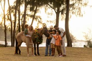 The Ritz-Carlton O'ahu, Turtle Bay - 8