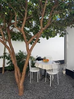 Studio plain pied - 5