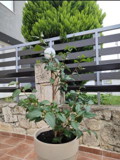 SiviriLovelyApartment - 2