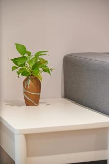 鉑泊客女士館 - 2