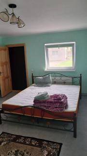 Однокімнатна квартира - Dobrovelychkivka - 4