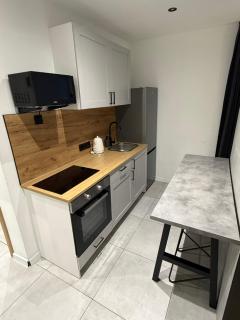 Apartament - Raciborska - Katowice - 6