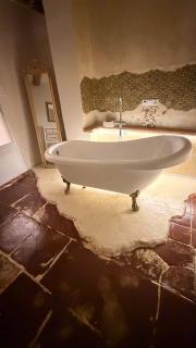 Forest View, ganzes Haus 100qm, 2 Schlafzimmer, 2 Bäder, Badewanne, Garten & Terrasse - 9