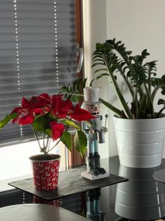 Apartment National Stadium Port Praski - Warsaw - 7