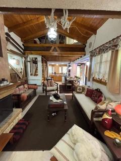 Family Friendly Chalet in Livadi Arachova - 6