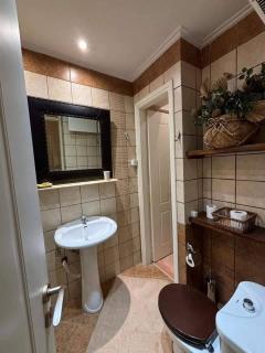 Family Friendly Chalet in Livadi Arachova - 5