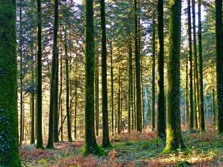 Maison B - Mont Saint Michel - 1