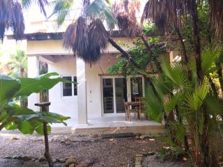 Kin Resort Lodge - 3