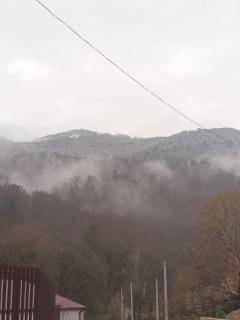 Зелений Рай - 9