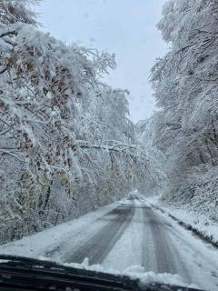 Villa Aria - Bosanska Krupa - 5