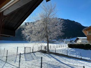 Haus Margret - Mellau - 4