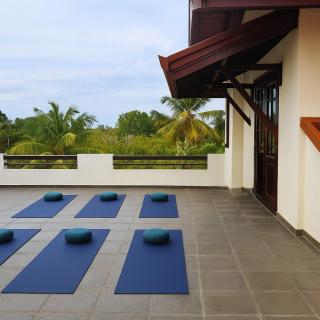 Blue Lotus Yoga House - 5