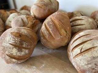 Ferienwohnung HOF - 2