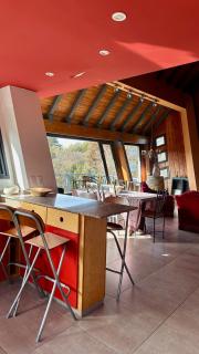 Estrellas de la Laguna - 8