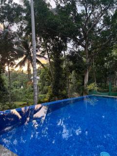 HangarankandaBungalow Deniyaya - 7