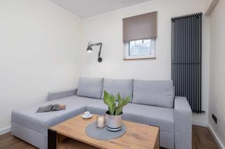 Paulińska 30 Kraków Spacious Apartment Kazimierz - 5