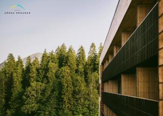 Kokhta Mitarbi Resort - 9