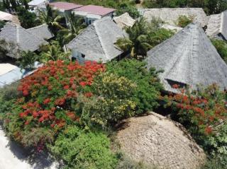 pasha nungwi zanzibar - 8