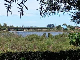 Cabaña monoambiente Yasyry - 4