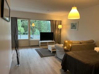 Kotimaailma - Tilava saunallinen kolmio Salossa - 0