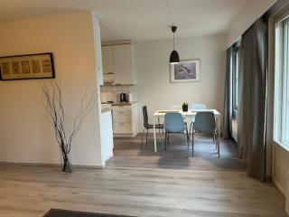 Kotimaailma - Tilava saunallinen kolmio Salossa - 3