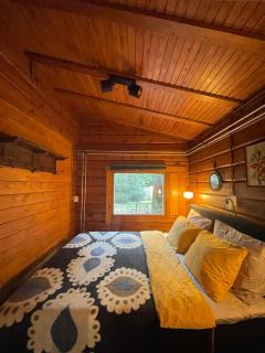 Rustic forest cottage, private forest garden and dogs welcome - 2