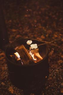 De Boskeet a rustic forest cottage, private forest garden and dogs welcome - 3