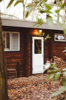 Rustic forest cottage, private forest garden and dogs welcome - 5