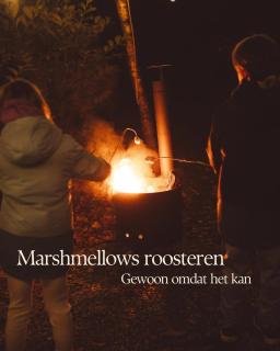 Rustic forest cottage, private forest garden and dogs welcome - 7