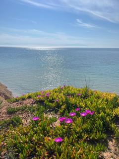 Teo Violeta House - 5